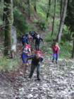 jelovica016_small.jpg