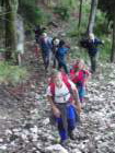 jelovica017_small.jpg