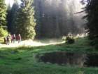 jelovica024_small.jpg