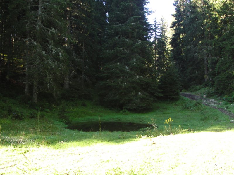 jelovica025.jpg