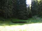 jelovica025_small.jpg