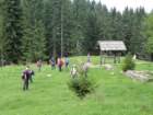 jelovica051_small.jpg