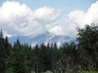 jelovica052_small.jpg