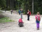 jelovica057_small.jpg