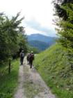jelovica071_small.jpg