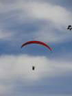 jelovica074_small.jpg