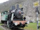 kopitnik1_small.jpg