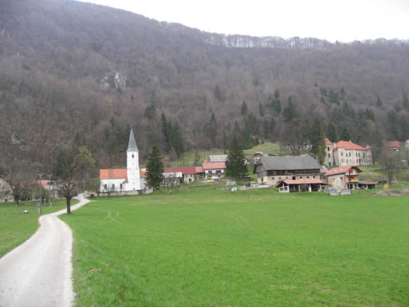 kopitnik2.jpg