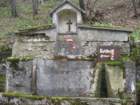 kopitnik21_small.jpg