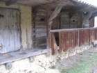 kopitnik22_small.jpg