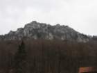 kopitnik23_small.jpg