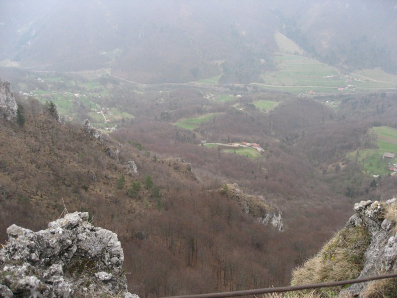 kopitnik26.jpg