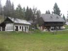 kopitnik31_small.jpg