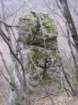 kopitnik36_small.jpg