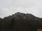 kopitnik37_small.jpg