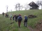 kopitnik8_small.jpg