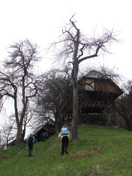 kopitnik9.jpg