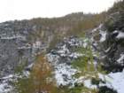 macesnovec005_small.jpg