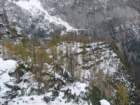 macesnovec008_small.jpg
