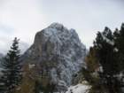macesnovec013_small.jpg