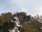 macesnovec015_small.jpg