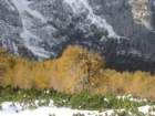 macesnovec026_small.jpg