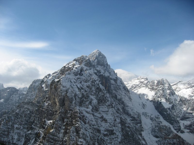 macesnovec029.jpg