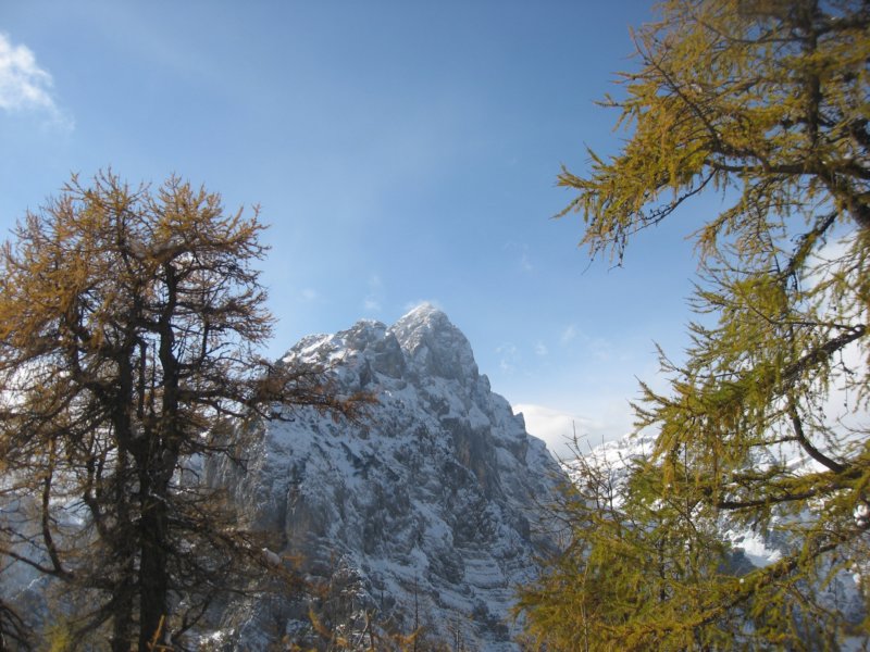 macesnovec035.jpg
