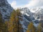macesnovec039_small.jpg