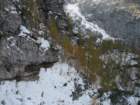 macesnovec044_small.jpg