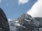 macesnovec048_small.jpg