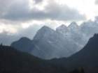 macesnovec049_small.jpg
