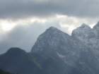 macesnovec050_small.jpg