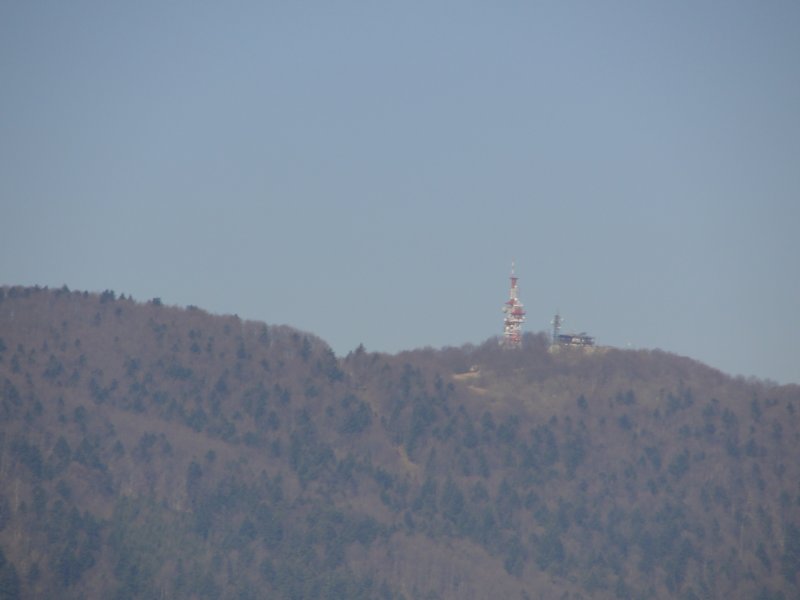 mokrc40.jpg