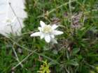 montesernio53_small.jpg