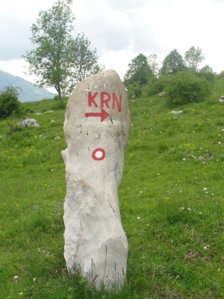 mrzlivrh100.jpg