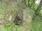 mrzlivrh11_small.jpg