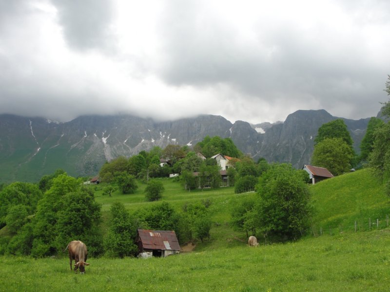 mrzlivrh36.jpg