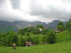 mrzlivrh36_small.jpg