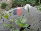 mrzlivrh60_small.jpg
