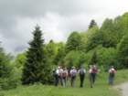 mrzlivrh73_small.jpg