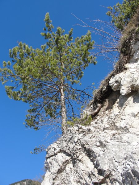 planinaosredek16.jpg