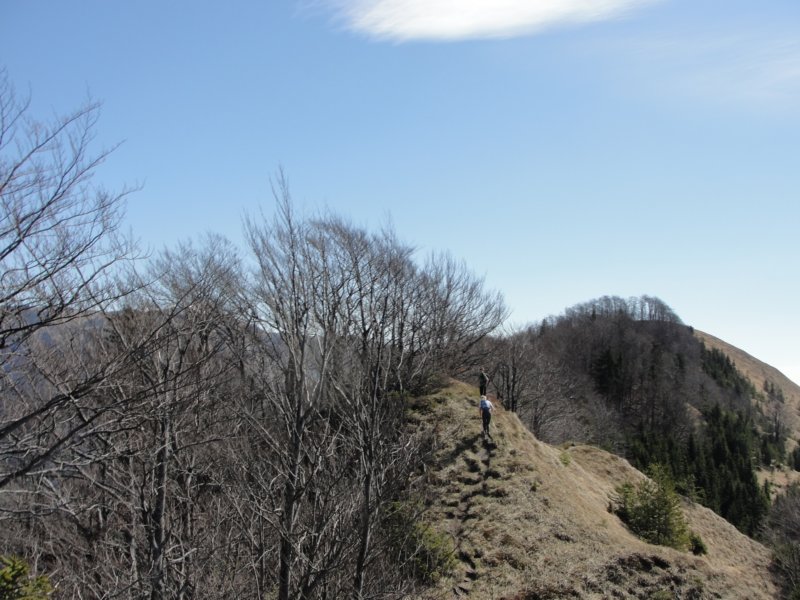 planinaosredek37.jpg