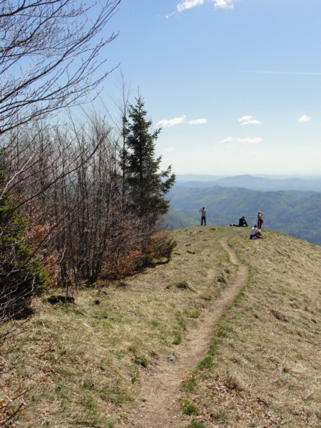 planinaosredek45.jpg