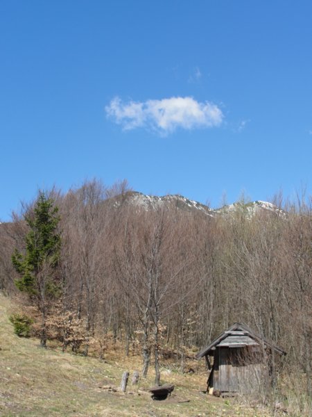 planinaosredek50.jpg