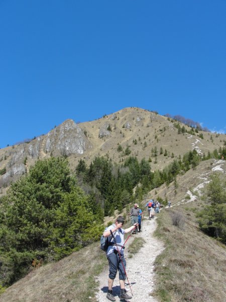 planinaosredek52.jpg