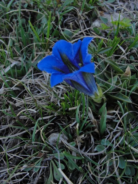 planinaosredek58.jpg