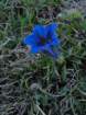 planinaosredek58_small.jpg
