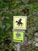 primoinilentabor051_small.jpg