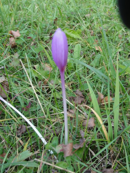 primoinilentabor067.jpg